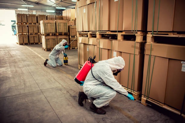 Best Pest Control Near Me  in Lake Camelot, IL