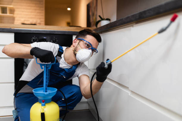 Best Flea Control Services  in Lake Camelot, IL
