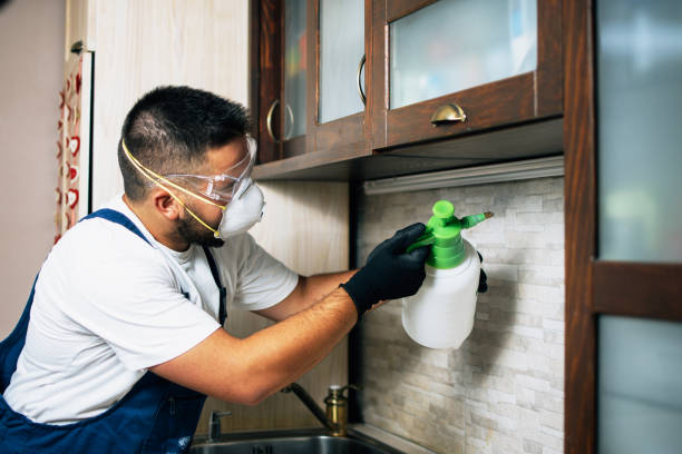 Best Pest Control Near Me in Lake Camelot, IL