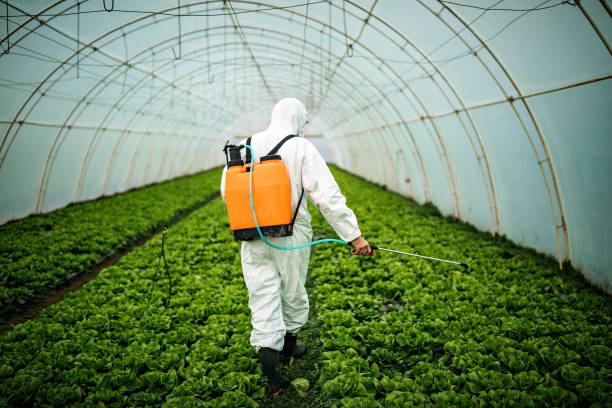 Best Pest Inspection Near Me  in Lake Camelot, IL