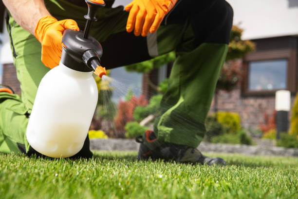 Best Pest Control Near Me  in Lake Camelot, IL