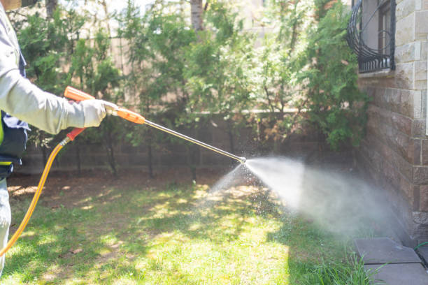 Best Local Pest Control Services  in Lake Camelot, IL