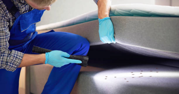 Best Best Pest Control Companies  in Lake Camelot, IL