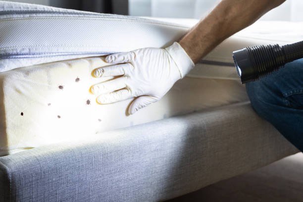 Best Best Pest Control Near Me  in Lake Camelot, IL