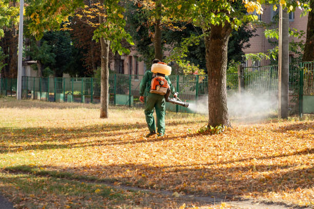 Pest Control Cost in Lake Camelot, IL